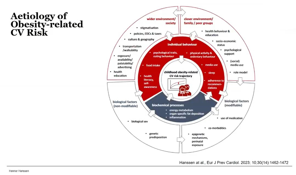 Infographic illustrating factors contributing to obesity-related cardiovascular risk, including behavioral, environmental, and biological influences.